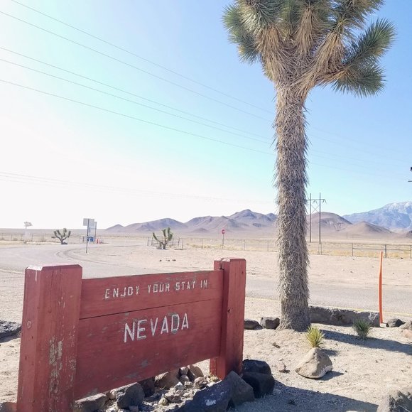 Vandoren  Bb Clarinet Traditional Reeds Strength 3 (5 Pack) - Picture 8 of 11